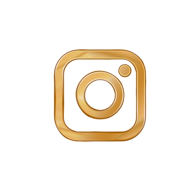Instagram Icon