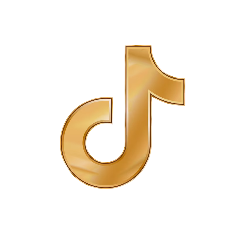 TikTok Icon